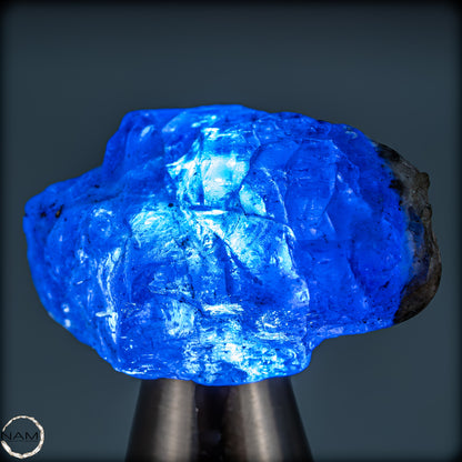 Natürlicher, Schöner Tansanit-Kristall, Tansania - 7,12g - 36,05ct