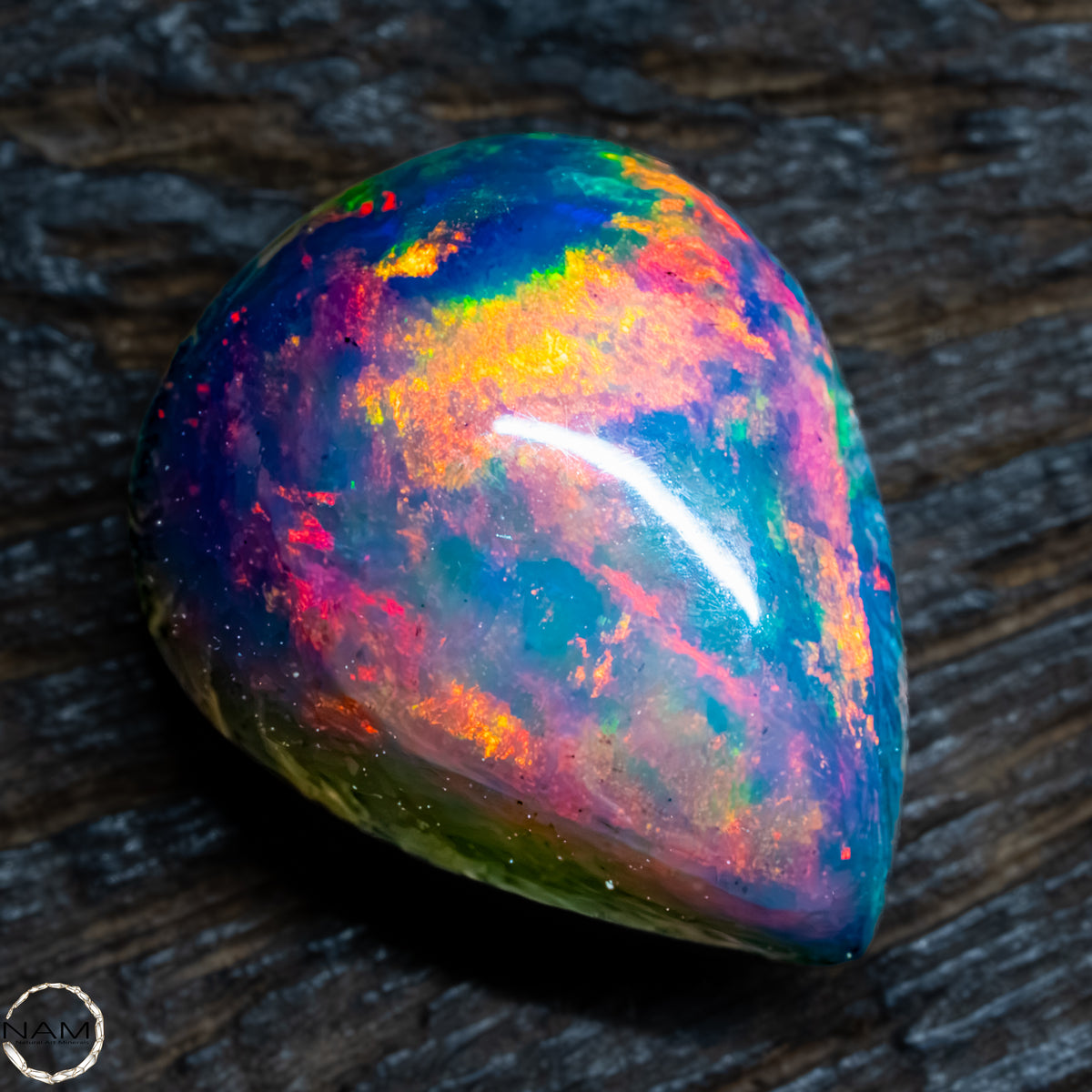 Großer Schwarzer Opal Cabochon - 1,34g -6,7Ct