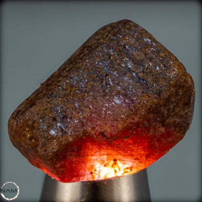 Natürlicher Rubinkristall aus Myanmar, Unbehandelt - 9,42g - 47,10ct