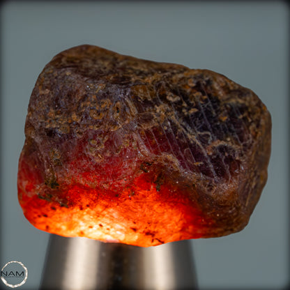 Natürlicher Rubinkristall aus Myanmar, Unbehandelt - 9,42g - 47,10ct