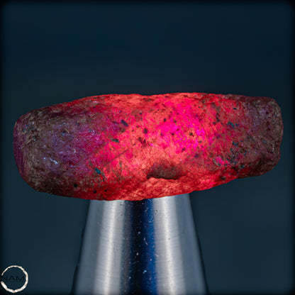 Natürlicher Rubinkristall aus Myanmar, Unbehandelt - 9,34g - 46,70ct