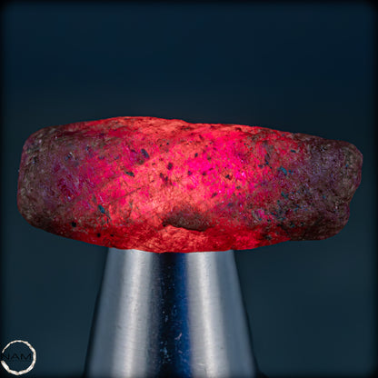 Natürlicher Rubinkristall aus Myanmar, Unbehandelt - 9,34g - 46,70ct