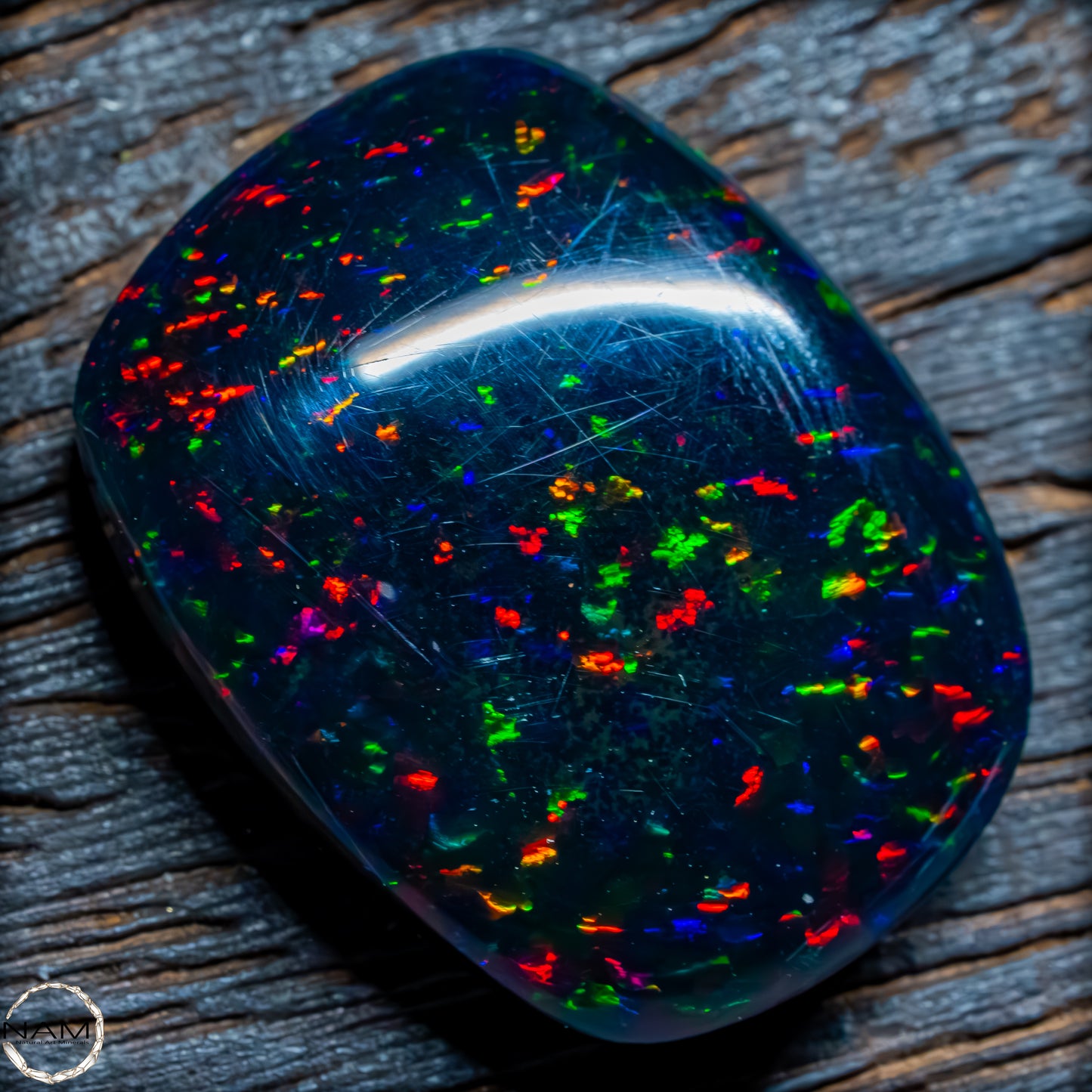 Großer AAA+ Schwarzer Opal Cabochon - 4,76g / 23,8 ct