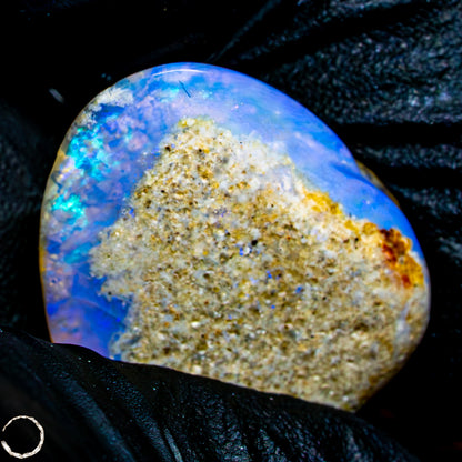 Natürliche AAA+ Opalesierte Fossile Muschel aus Australien, 16,50ct