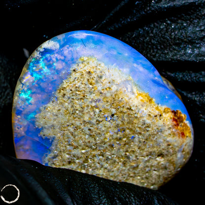 Natürliche AAA+ Opalesierte Fossile Muschel aus Australien, 16,50ct