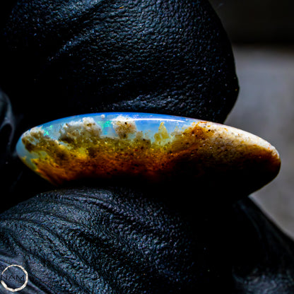 Natürliche AAA+ Opalesierte Fossile Muschel aus Australien, 16,50ct