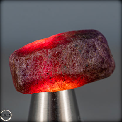 Natürlicher Rubinkristall aus Myanmar, Unbehandelt - 11,27g - 56,35ct