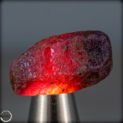 Natürlicher Rubinkristall aus Myanmar, Unbehandelt - 11,27g - 56,35ct