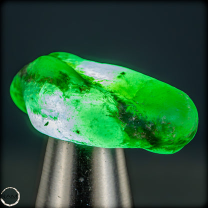 Natürlicher Smaragdkristall aus Kolumbien, unbehandelt - 8,09g - 40,45ct