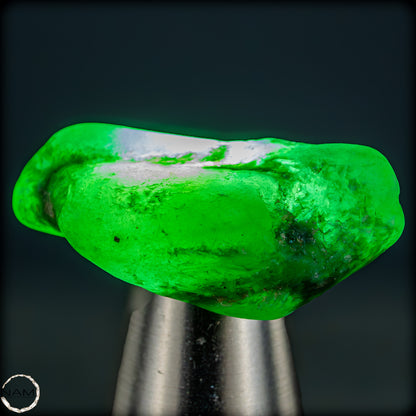 Natürlicher Smaragdkristall aus Kolumbien, unbehandelt - 8,09g - 40,45ct