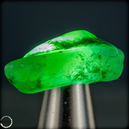 Natürlicher Smaragdkristall aus Kolumbien, unbehandelt - 8,09g - 40,45ct