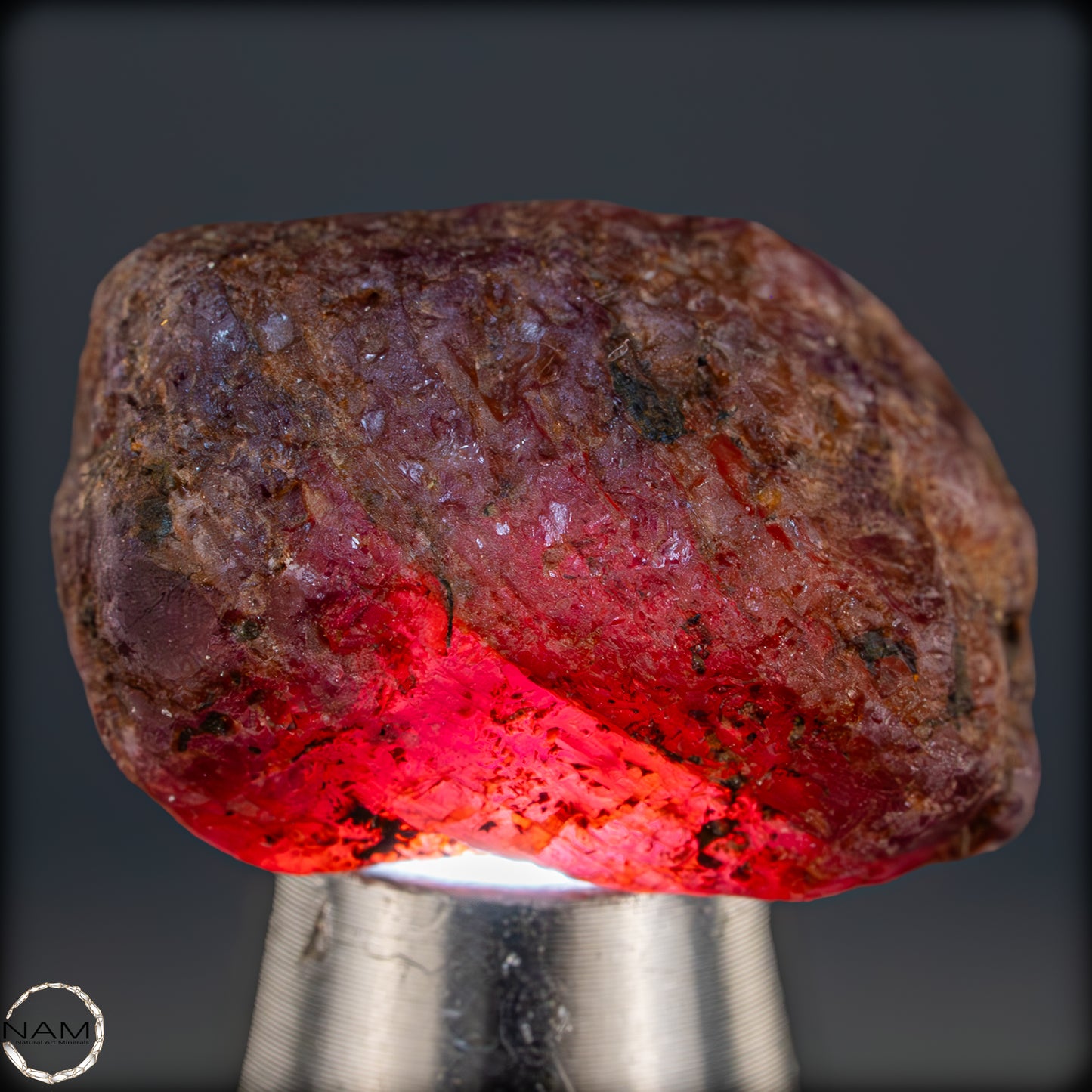Natürlicher Rubinkristall aus Myanmar, Unbehandelt - 10,67g - 53,35ct