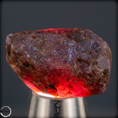 Natürlicher Rubinkristall aus Myanmar, Unbehandelt - 10,67g - 53,35ct