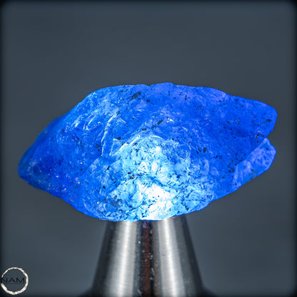 Natürlicher, Schöner Tansanit-Kristall, Tansania - 8,15g - 40,75ct