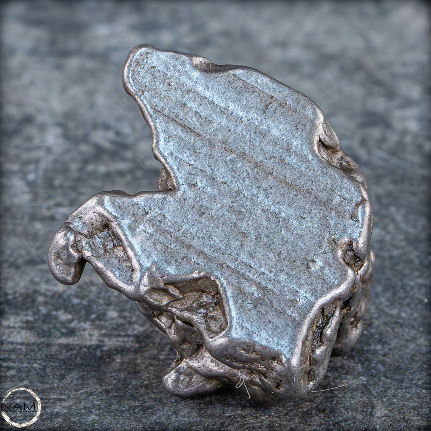 Natürlicher Meteorit Campo Del Cielo, Argentinien - 23,99g