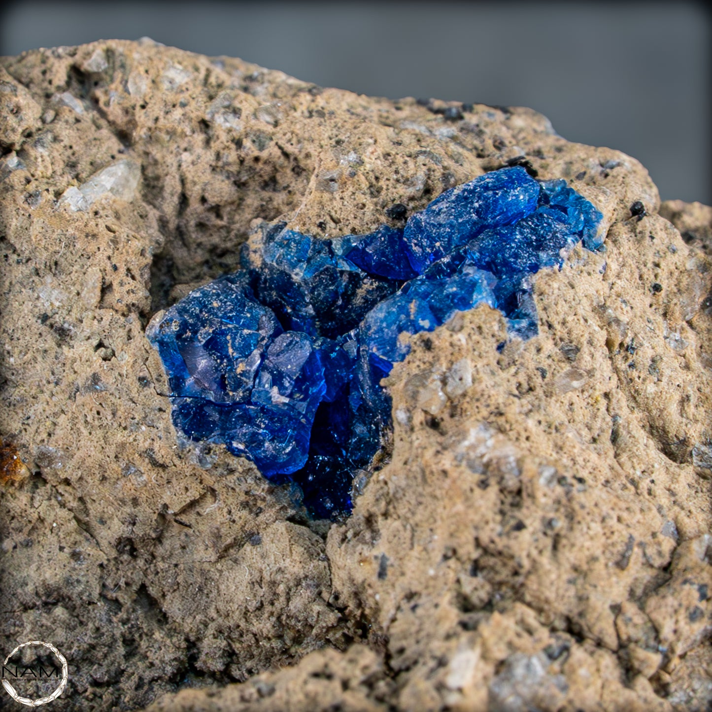 Hauyn Kristall auf Matrix, Mendig, Eifel - 18,94g - 94,70ct