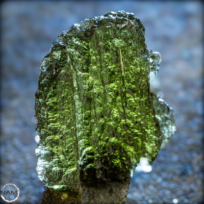 Großer Natürlicher Moldavit Kristall - 6,19g - 30,95ct