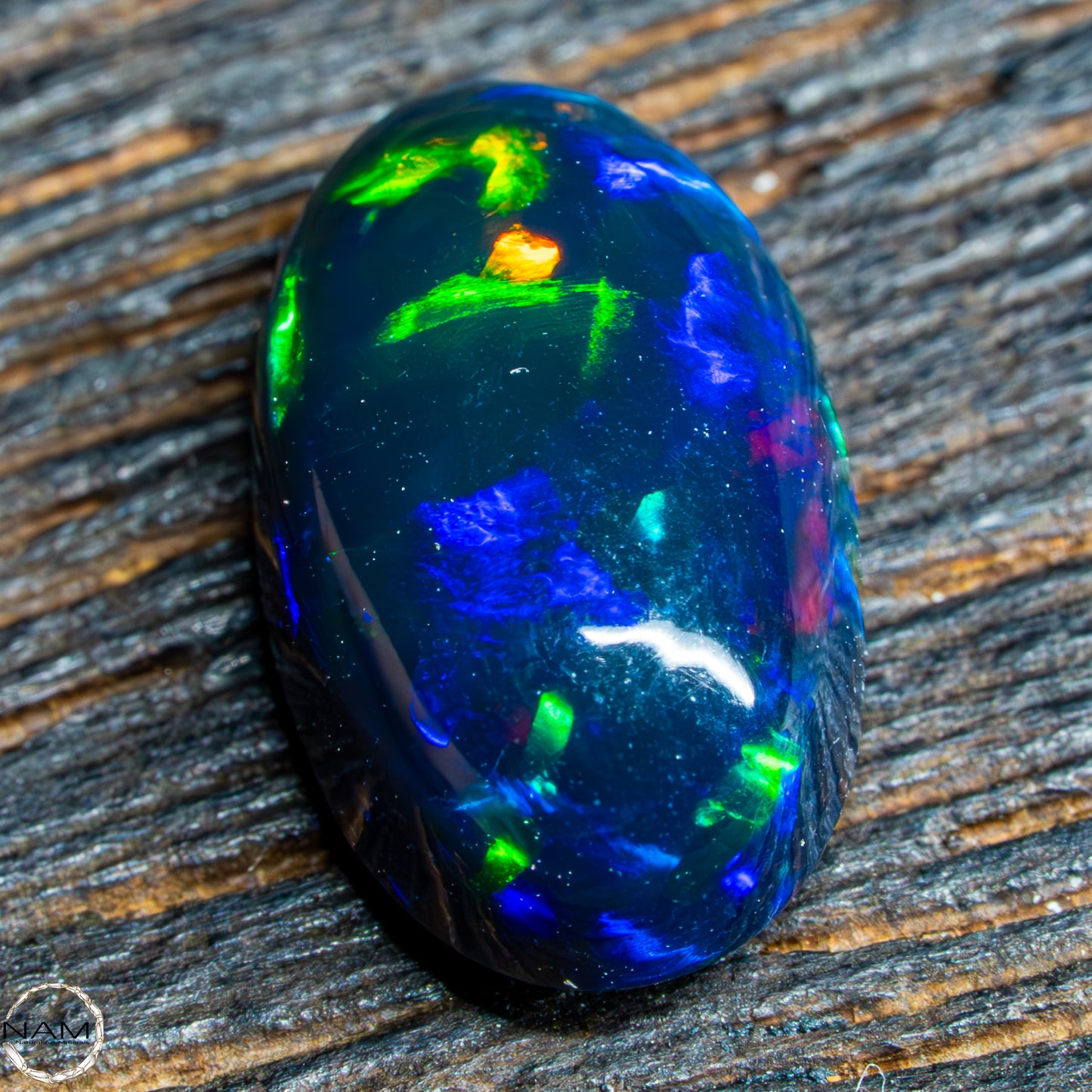 Großer AAA+ Schwarzer Opal Cabochon - 0,58g/2,9ct