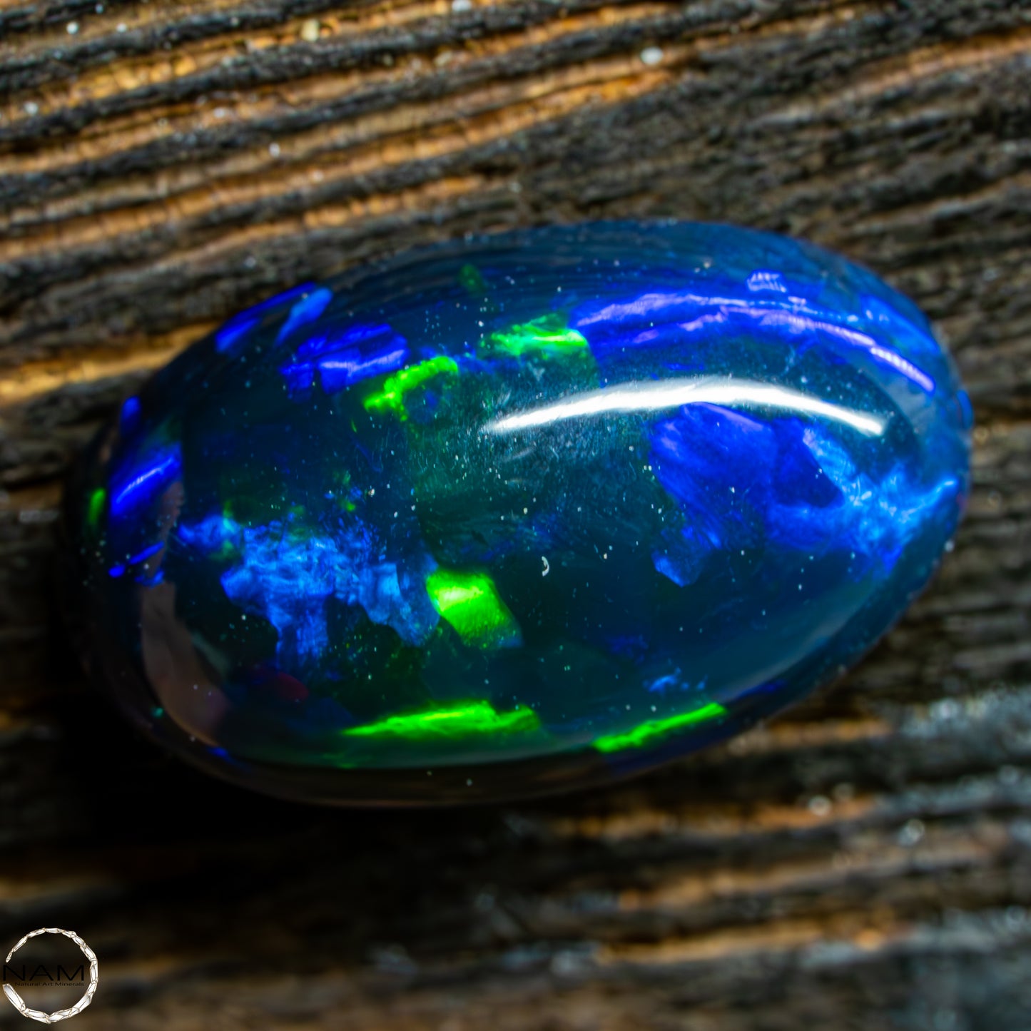 Großer AAA+ Schwarzer Opal Cabochon - 0,58g/2,9ct