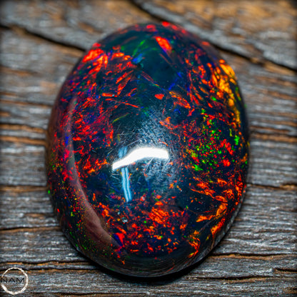 Großer AAA+ Schwarzer Opal Cabochon - 8.7 ct - 1,74g