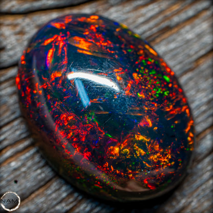 Großer AAA+ Schwarzer Opal Cabochon - 8.7 ct - 1,74g