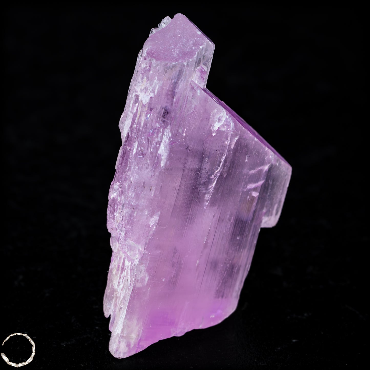 Natürlicher Kunzit Kristall, Spitzenqualität - 40,05g - 200,25ct