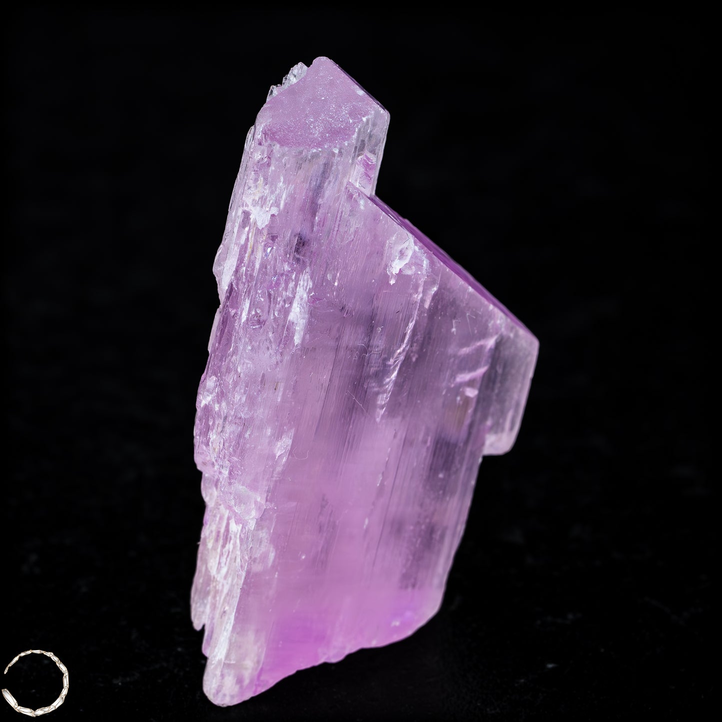 Natürlicher Kunzit Kristall, Spitzenqualität - 40,05g - 200,25ct