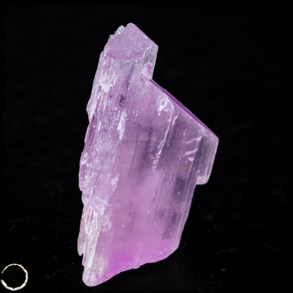 Natürlicher Kunzit Kristall, Spitzenqualität - 40,05g - 200,25ct