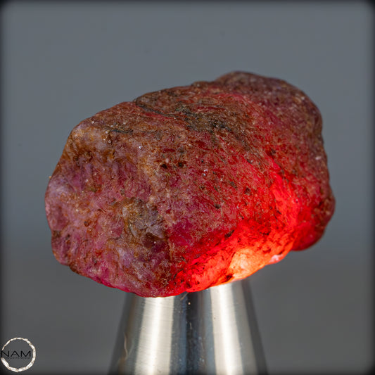 Natürlicher Rubinkristall aus Myanmar, Unbehandelt - 15,61g - 78,05ct