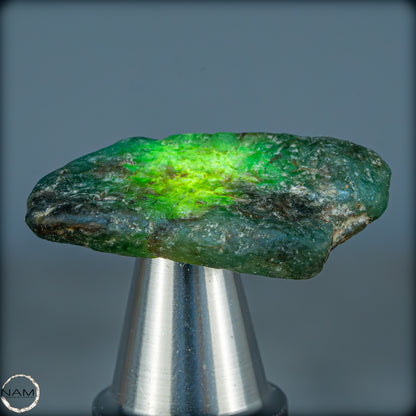 Natürlicher Smaragdkristall aus Kolumbien, unbehandelt - 9,23g - 46,15ct