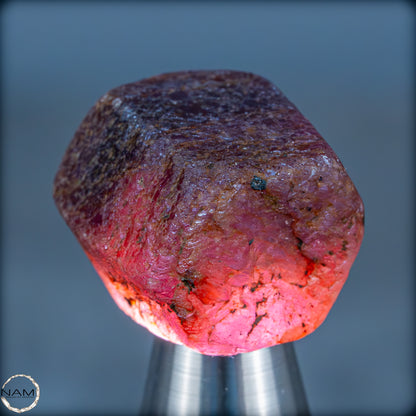 Seltener Padparadscha Farbener Saphirekristall aus Tansania - 18,34g - 91,70ct