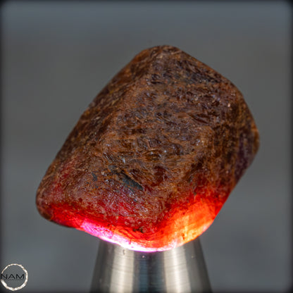 Natürlicher Rubinkristall aus Myanmar, Unbehandelt - 13,29g - 66,45ct