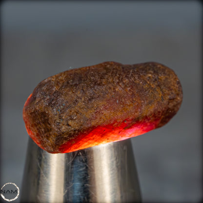 Natürlicher Rubinkristall aus Myanmar, Unbehandelt - 15,58g - 77,90ct