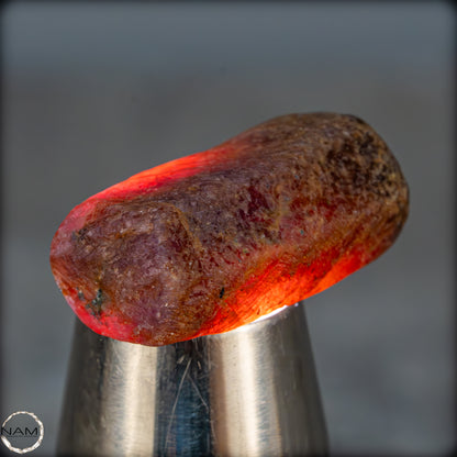 Natürlicher Rubinkristall aus Myanmar, Unbehandelt - 15,58g - 77,90ct