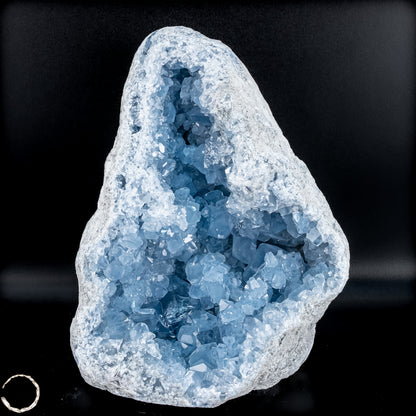 Natürliche Celestit Kristall-Druse - 5759,61g