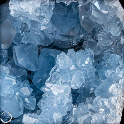 Natürliche Celestit Kristall-Druse - 5759,61g