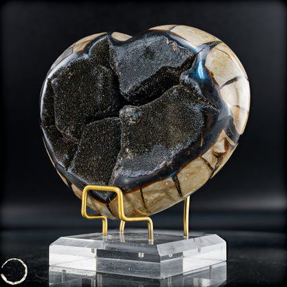 Septarien-Herz – Symbol für Erdverbundenheit und innere Stärke - 1573,25g