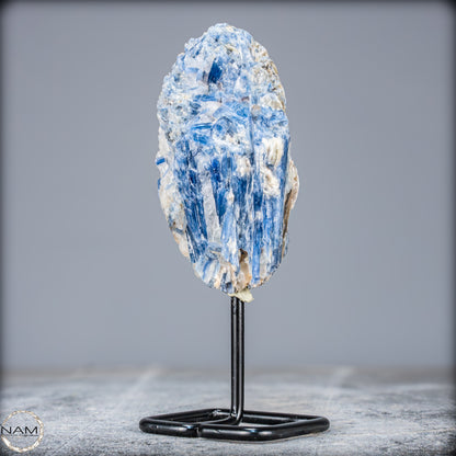 Natürlicher Kyanit-Kristall Cluster auf Ständer aus Brasilien - 411,65g