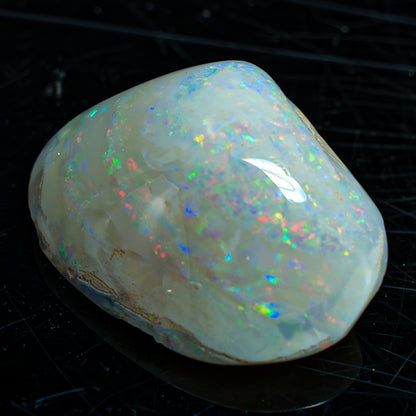 Natürliche AAA+ Opalesierte Fossile Muschel aus Australien, 54.455ct