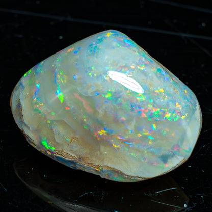 Natürliche AAA+ Opalesierte Fossile Muschel aus Australien, 54.455ct