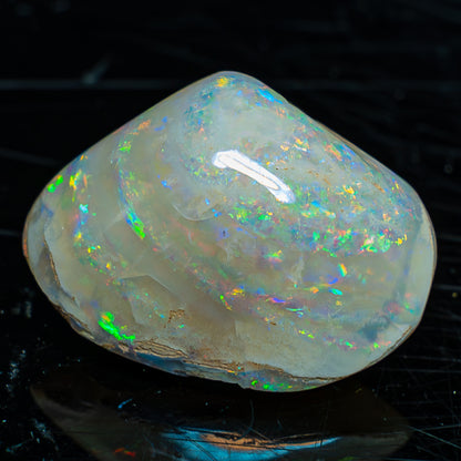 Natürliche AAA+ Opalesierte Fossile Muschel aus Australien, 54.455ct