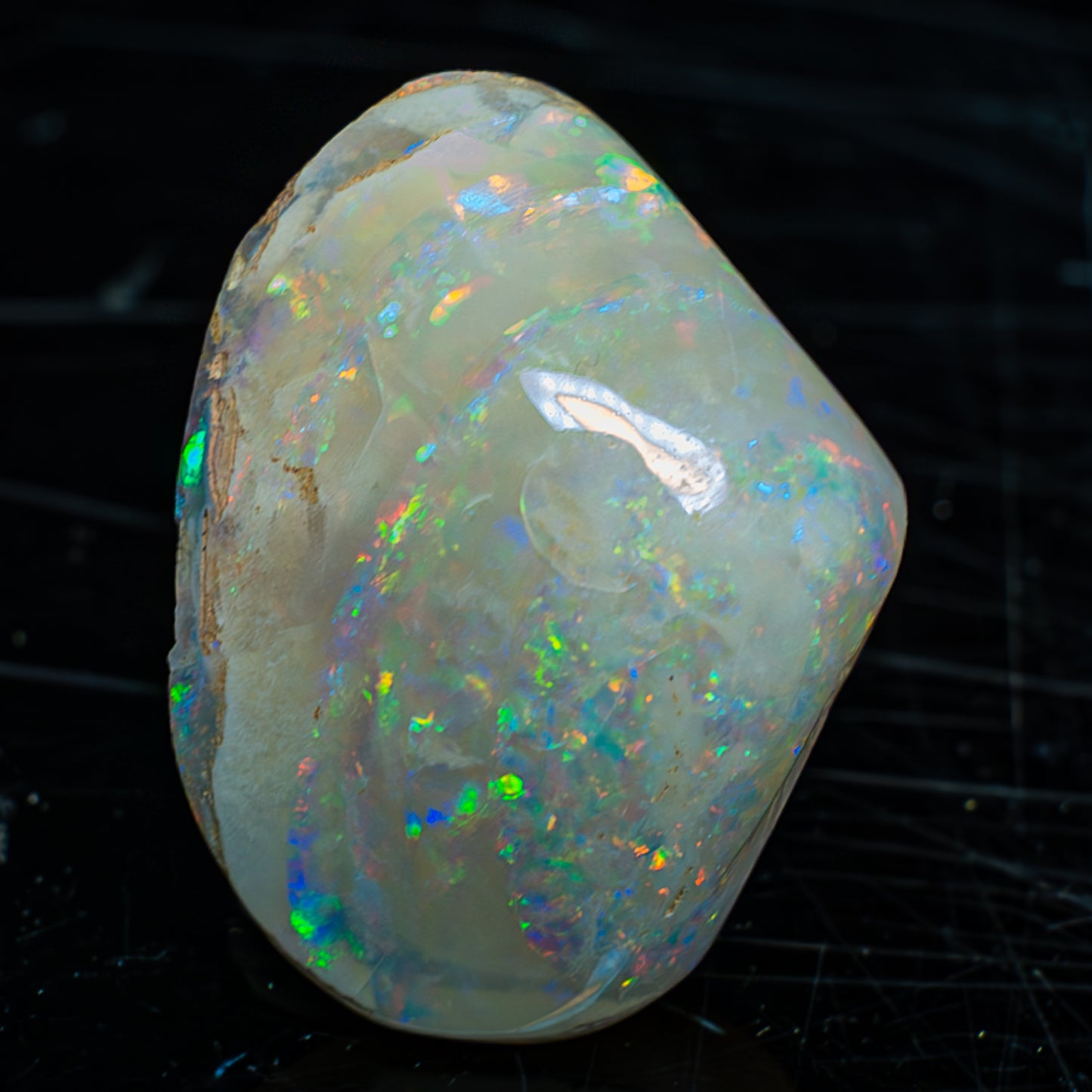 Natürliche AAA+ Opalesierte Fossile Muschel aus Australien, 54.455ct