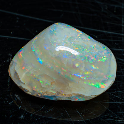 Natürliche AAA+ Opalesierte Fossile Muschel aus Australien, 54.455ct