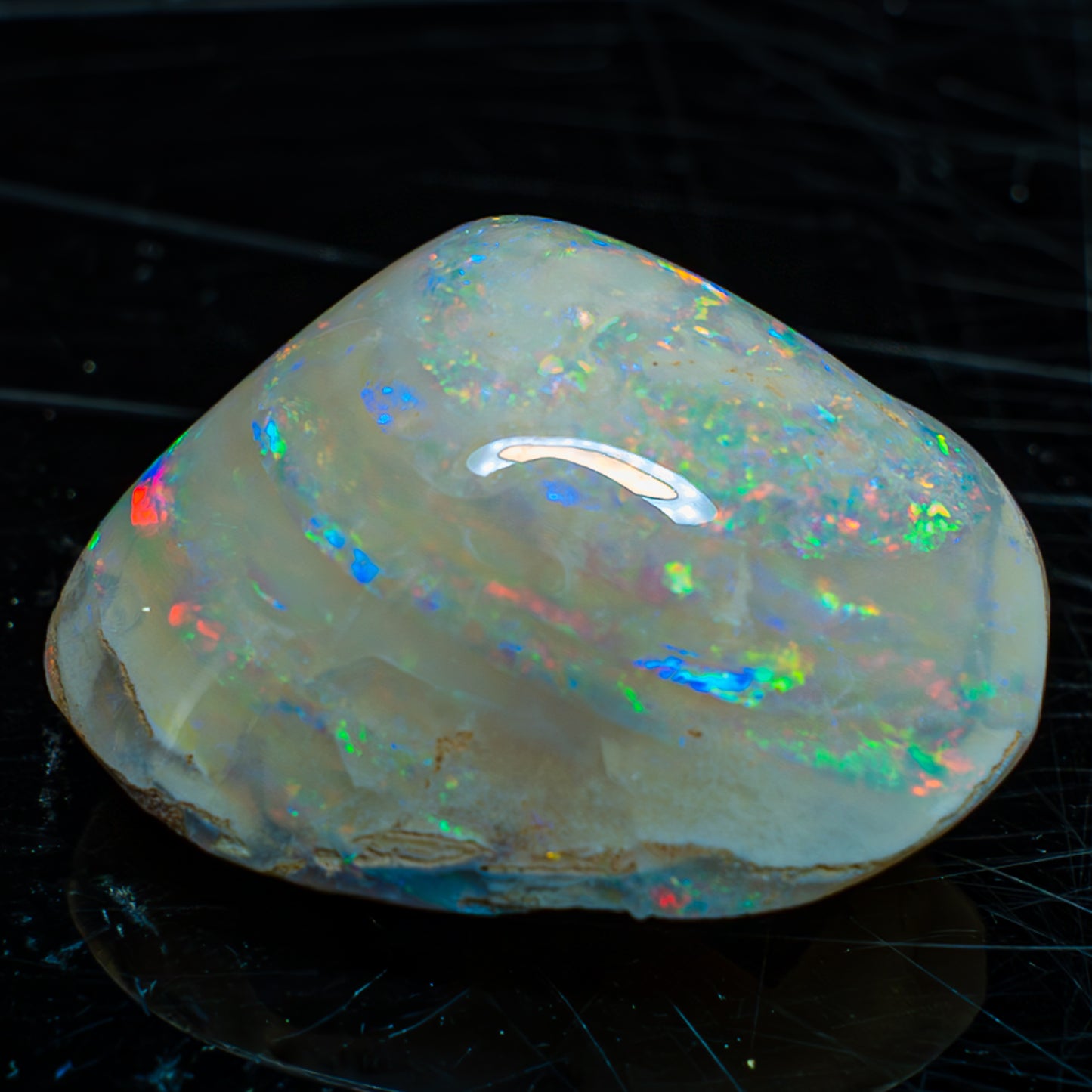 Natürliche AAA+ Opalesierte Fossile Muschel aus Australien, 54.455ct