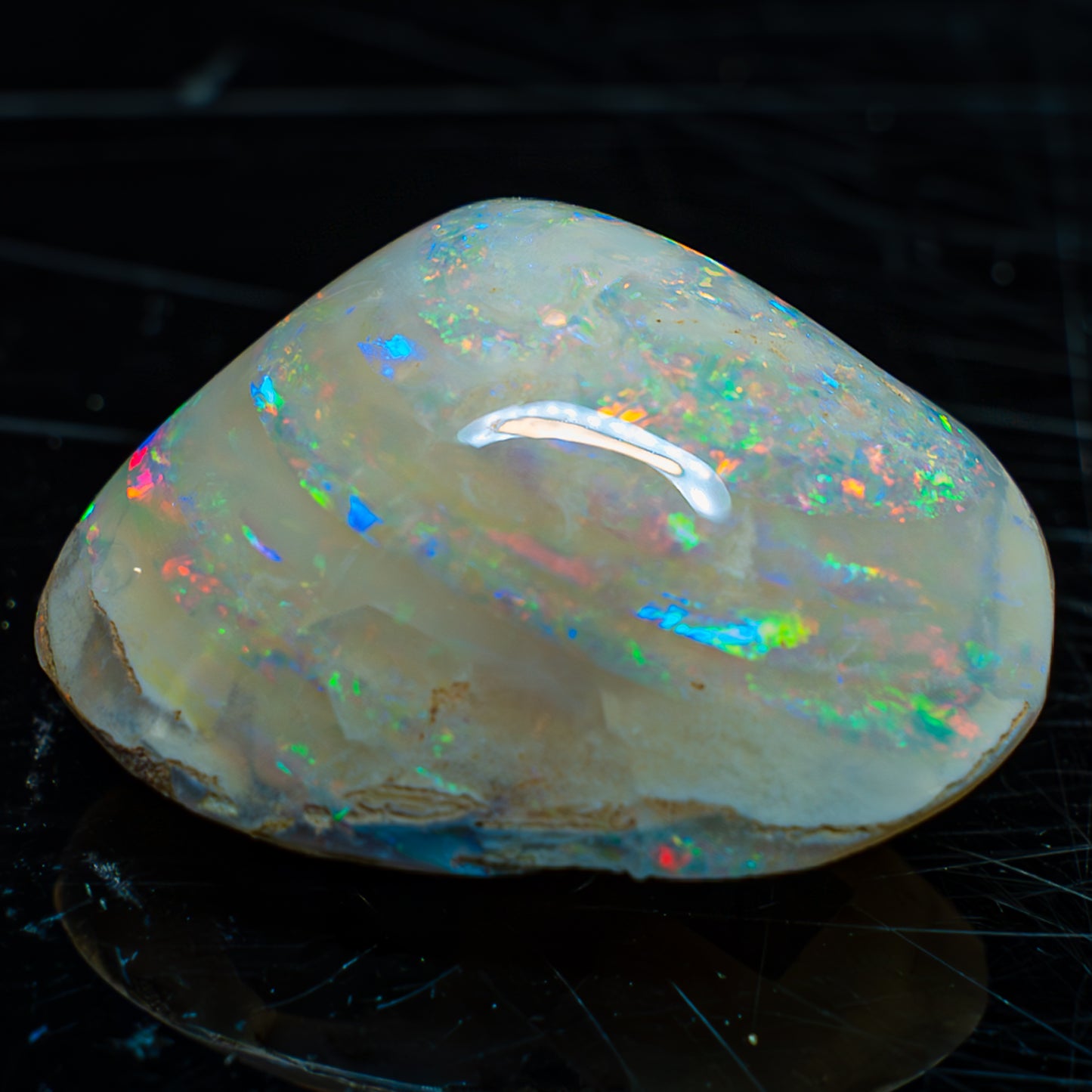 Natürliche AAA+ Opalesierte Fossile Muschel aus Australien, 54.455ct