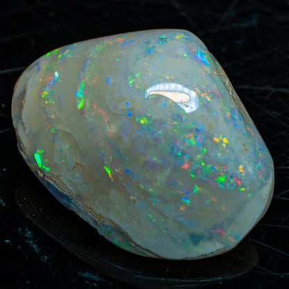 Natürliche AAA+ Opalesierte Fossile Muschel aus Australien, 54.455ct