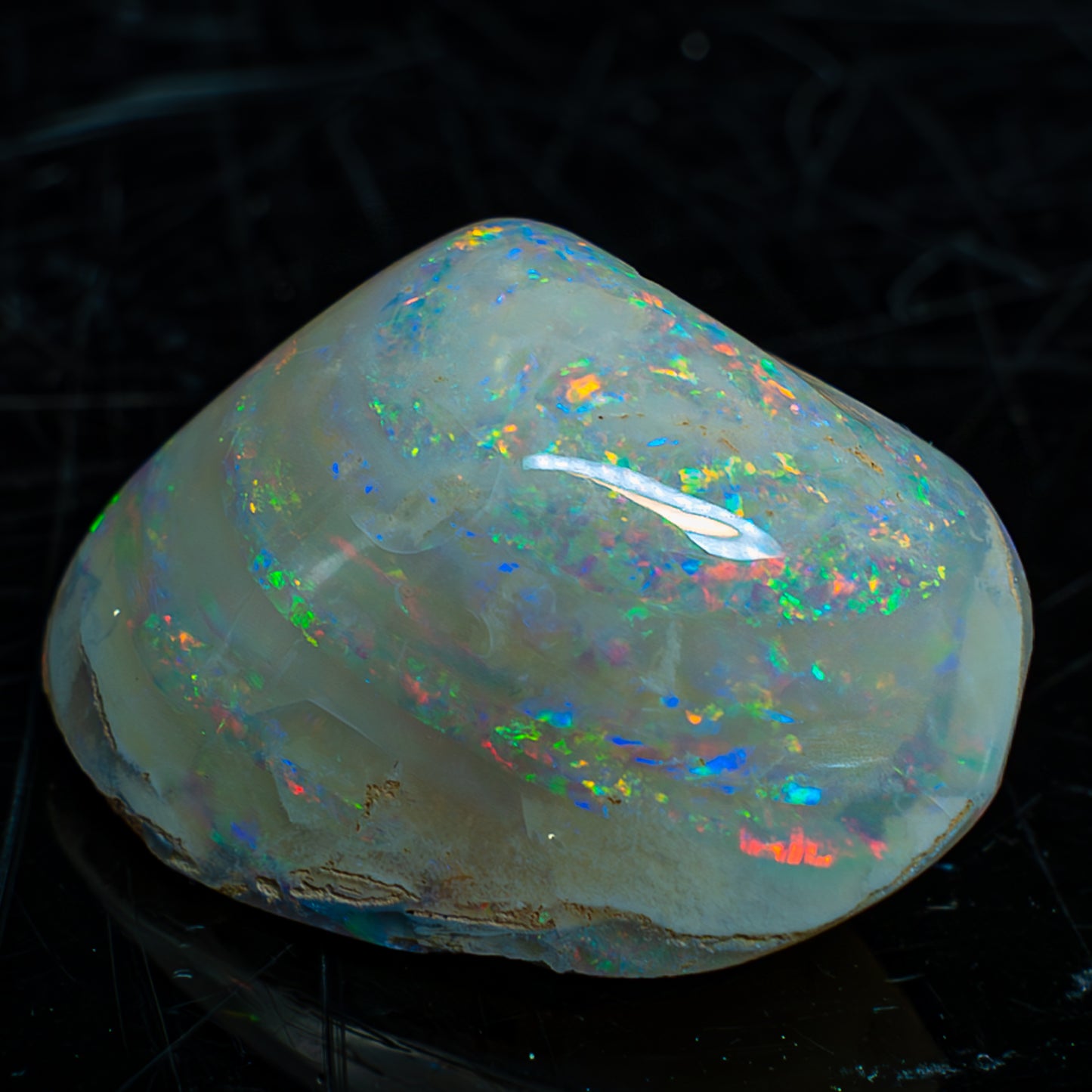 Natürliche AAA+ Opalesierte Fossile Muschel aus Australien, 54.455ct