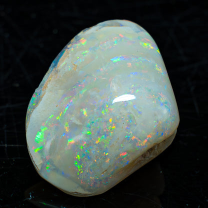 Natürliche AAA+ Opalesierte Fossile Muschel aus Australien, 54.455ct