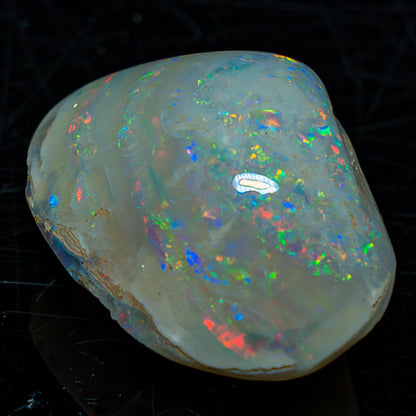 Natürliche AAA+ Opalesierte Fossile Muschel aus Australien, 54.455ct