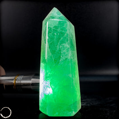 Natürlicher Grüner Fluorit-Kristall Obelisk - 312,45g
